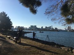-台场海滨公园船码头