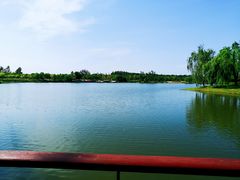 -东郊湿地公园