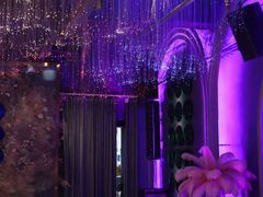 -Darling Queen·Mini·Live·House