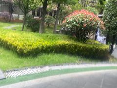-万象温泉景区