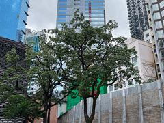 -大馆(前中区警署建築群)
