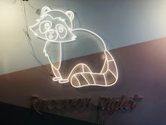-浣熊柯尔鸭土拨鼠·电玩咖
