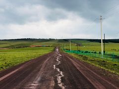 -塞罕坝国家级自然保护区