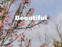 -上海山野camping·户外天幕烧烤·团建拓展营地