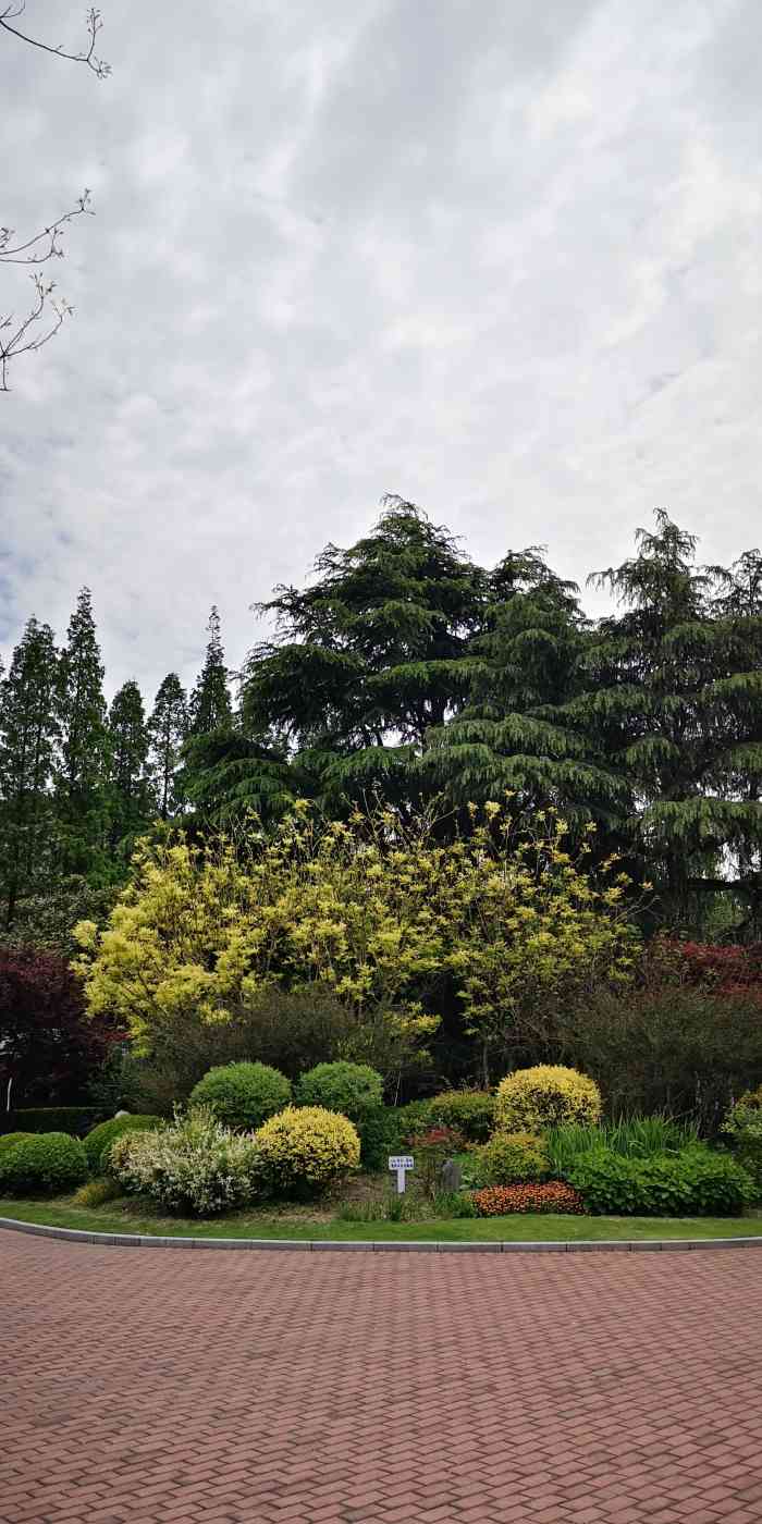 蔓趣公园-"哇塞,这里简直就是附近老年人的聚集地. ."-大众点评移动版