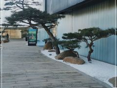 -罗红摄影艺术馆