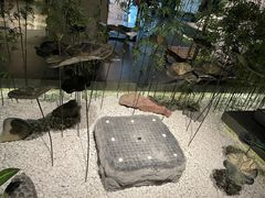 -六朝博物馆
