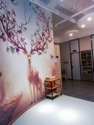 -可爱多国际儿童摄影会馆(龙泉店)