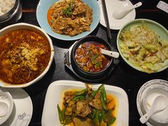 -陈麻婆豆腐总店