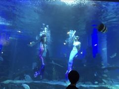-石林冰雪海洋世界