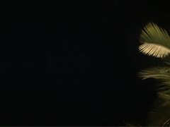 iphone_upload_pic-三亚亚龙湾凯莱仙人掌度假酒店