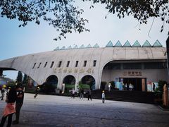 -自贡恐龙博物馆