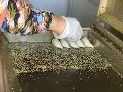 -周震馄饨