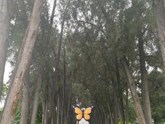 -晋祠公园