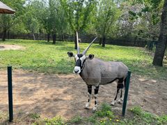 -大连森林动物园