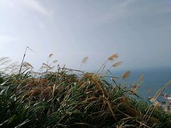 -东极岛景区