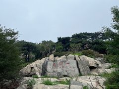 -泰山风景名胜区