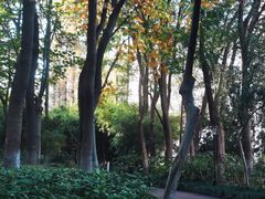 -九龙潭景区