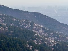 -北京十三陵国家森林公园蟒山景区