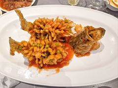 -燕春楼(海河华鼎店)