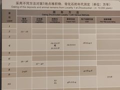 -北京周口店北京人遗址博物馆