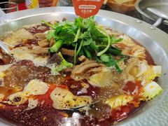 -古乐牛香·鲜牛肉牛杂火锅(高新店)