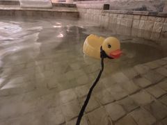 -春晖园度假酒店温泉