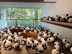-杭州植物园