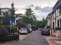 -大华梧桐墅大公馆