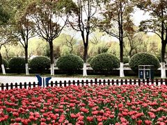 -上海鲜花港