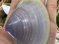 -湛鲜碳烤.海鲜烧烤(宝安店)