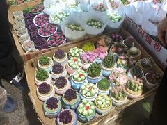 -循礼门鲜花花市(武汉循礼门店)