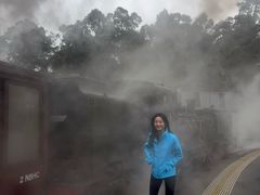 -普芬比利蒸汽火车
