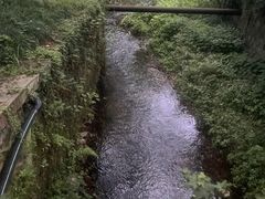 -灵顺寺