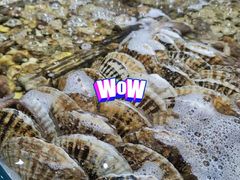 -飞洲国际广场
