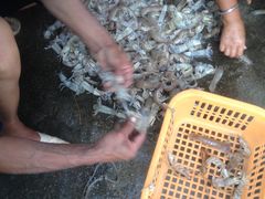-三姐妹平价海鲜