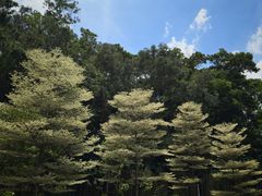 -广州市白云山风景名胜区