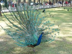 -西昌邛海宾馆