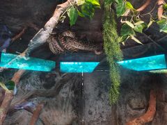 -海南热带野生动植物园