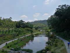 -东莞植物园