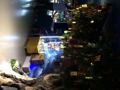 iphone_upload_pic-龙塔