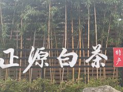-正源安吉白茶特产享购商场(安吉店)