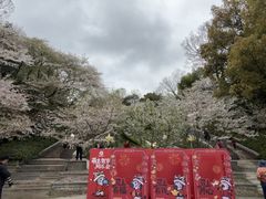 -杭州少年儿童公园