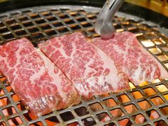 -肉魁屋·烧肉·烧鸟·酒场(高新店)