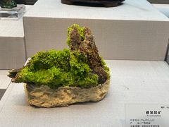 -湖南省地质博物馆