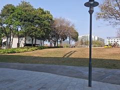 -宝安西湾红树林湿地公园