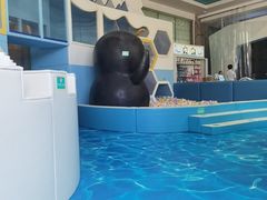 -喷泉广场餐厅·宵夜·海鲜烧烤大排档(长隆企鹅酒店)