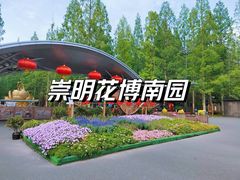 -东平国家森林公园