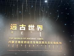 -呼和浩特博物馆