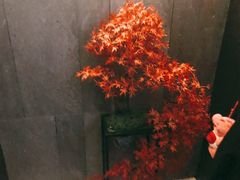 -39°·叁十九度·浴足SPA(龙湖滨江天街总店)